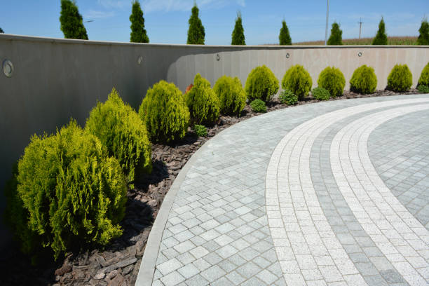 Reasons to Select Us for Your Driveway Paving Requirements in New Market, TN